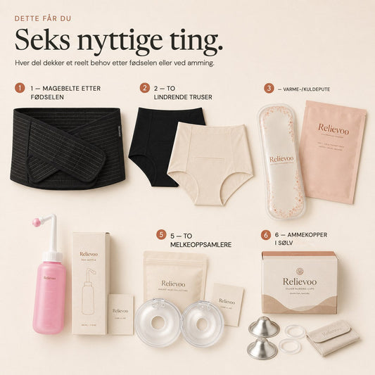 The six items in the Relievoo complete bundle numbered one to six: belly band, two soothing briefs, therapy pack, peri bottle, two milk collectors and silver nursing cups rvpumpen rvhasar